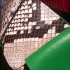 Rochas 800167